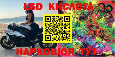 MESCALINE Камышлов